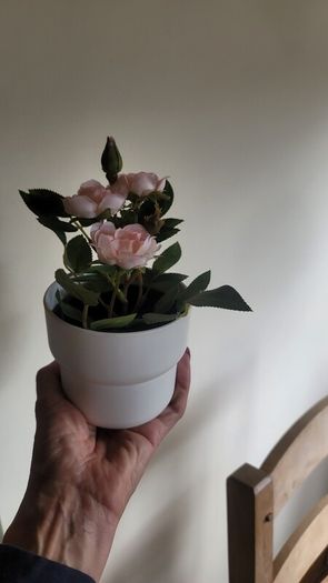 Artificial Plants in Ceramic, Glass, Stone & PVC Pots x8