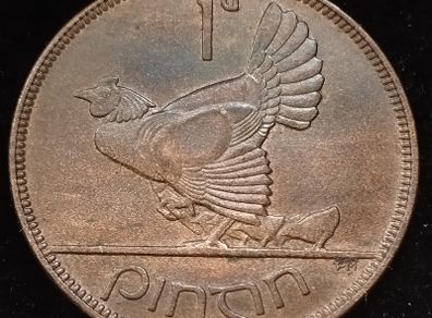 Ireland - 1928 - Penny - UNC - KM.3 - [2426]