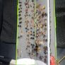 Fly Collection Image 3