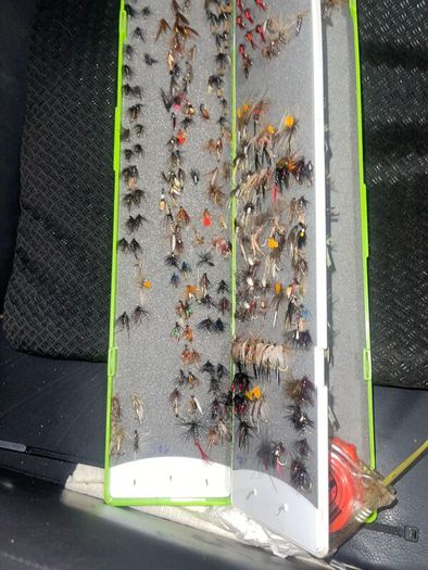 Fly Collection