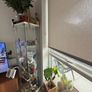 glass cabinet Image 2