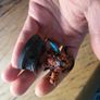 Games Workshop Warhammer 40k Leagues of Votann Combat Patrol Image 6