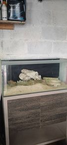 fish tank with stand