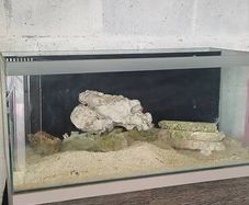 fish tank with stand
