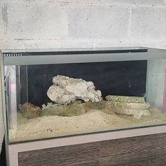 fish tank with stand