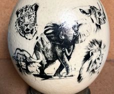 Ostrich Egg Big Five Art