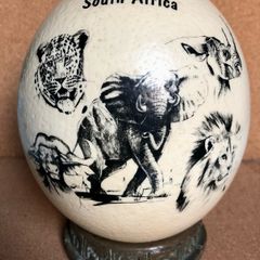Ostrich Egg Big Five Art