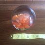 A pair of floral clear glass paperweights Image 4