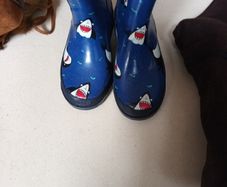 Regatta Blue Wellingtons Boots.     S.12.   New