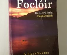 Various Dictionaries Irish, French, Portuguese, Greek.