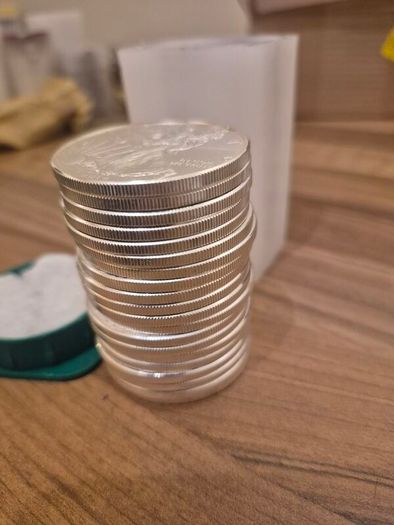 1 oz American Silver Eagle Bullion Coins