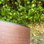 Takamine G320-NS Image 6