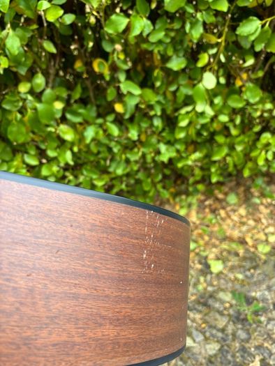 Takamine G320-NS
