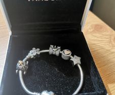 Pandora silver charm bracelet