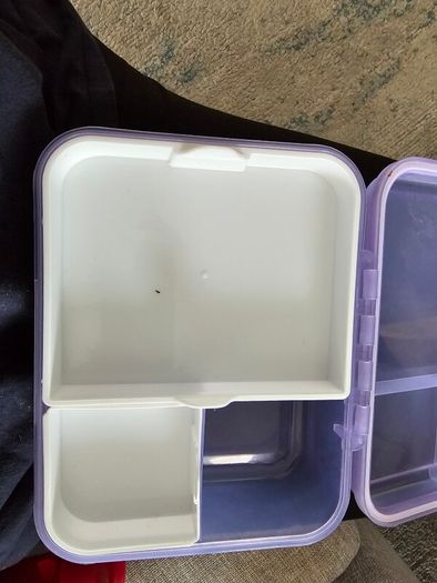 tiffin box