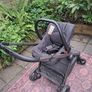 Baby Elegance Drift Image 4