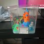 fish tank Image 3