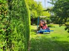 hedge cutting Image 5