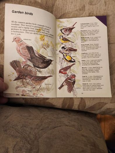 Whizz Kids. Birdwatching First Edition Vintage 1979 Paperback In Good Condition. 36.