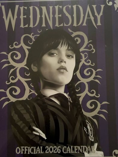 Official Wednesday TV Show 2026 A3 Wall Calendar(New and Sealed)