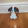 Teddies Image 2