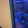 aquarium Image 3