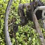 bicycle Image 8