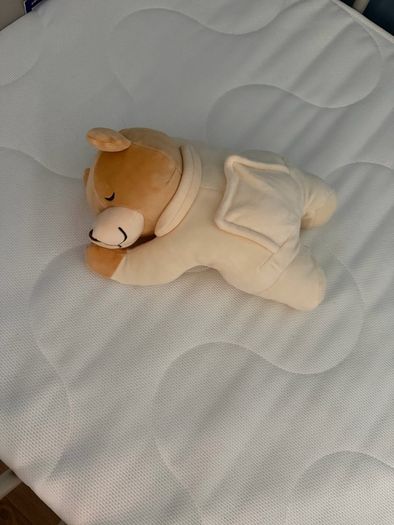 Bear with womb sound for soothing baby