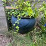 Flower Pot - Black flower pot, free to take bamboo not included Image 2