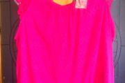 Bnwt size 14 pink penneys top