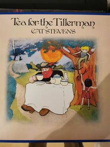 Cat Stevens. Tea for the Tillerman. Vinyl. Brand new.