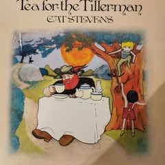 Cat Stevens. Tea for the Tillerman. Vinyl. Brand new.