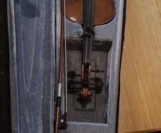 violin