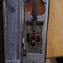 violin