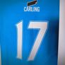 Premier League No 17 Carling Jersey Large Image 3