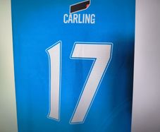 Premier League No 17 Carling Jersey Large