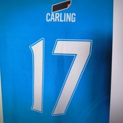 Premier League No 17 Carling Jersey Large