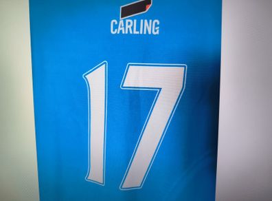 Premier League No 17 Carling Jersey Large