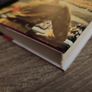 Hitlerland ! American Eyewitnesses to the Nazi Rise to Power ! Hardcover ! 2012 ! by Simon & Schuster ! History ! World War II ! WWII ! Image 8