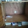 French oak vintage tv unit Image 2