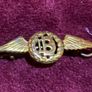 Dental Branch Wing Badges plus dental cap badge , militaria Image 2