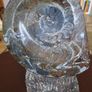 Ammonite statue Image 2