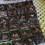 WWE Stickers Image 2