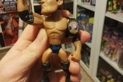 WWE The Rock Slam Crate Exclusive Figure