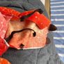 dinosaur costume Image 6
