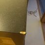 Malm Desk Image 4