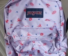 School Backpack