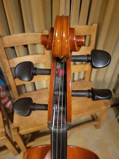 3/4 Primavera Prima 200 Cello - Full Outfit with New Bag, Bow, Strings - Limerick