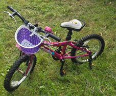16" bike FREE to take