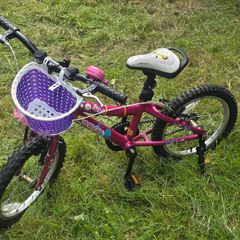 16" bike FREE to take